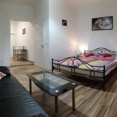 Apartment Krale Jiriho Karlovy Vary Bagian luar foto