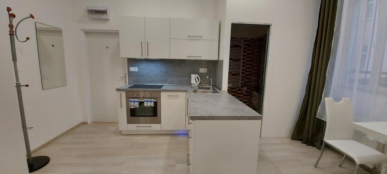 Apartment Krale Jiriho Karlovy Vary Bagian luar foto