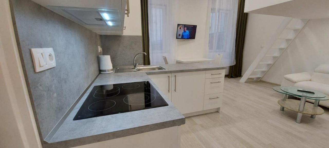 Apartment Krale Jiriho Karlovy Vary Bagian luar foto