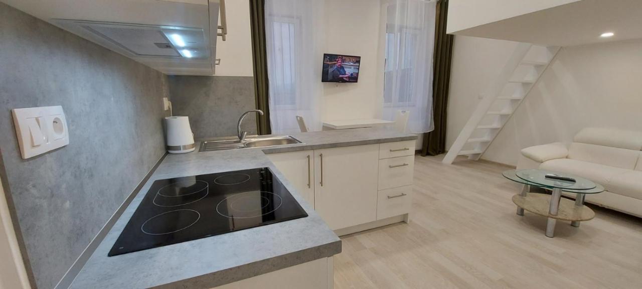 Apartment Krale Jiriho Karlovy Vary Bagian luar foto
